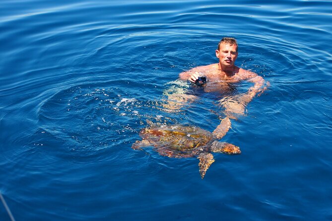 Private Sailing - dolphin Experience Estepona - drink & food - 4h - Searching for dolphins near Gibraltar