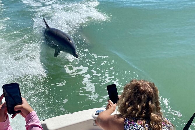 Private Shelling and Dolphin Excursion - What makes this boat trip worth your time