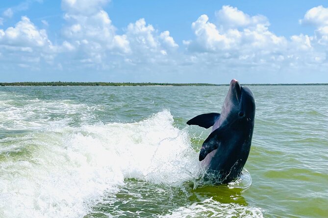 Private Shelling and Dolphin Excursion - Heat, rain, and what to pack