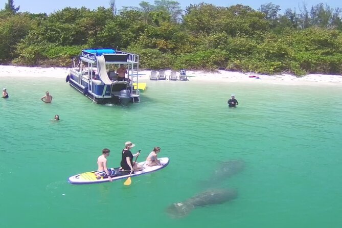 Private Siesta Funship Adventure/Dolphin Cruise Sandbar Stops - Key Details Before You Book