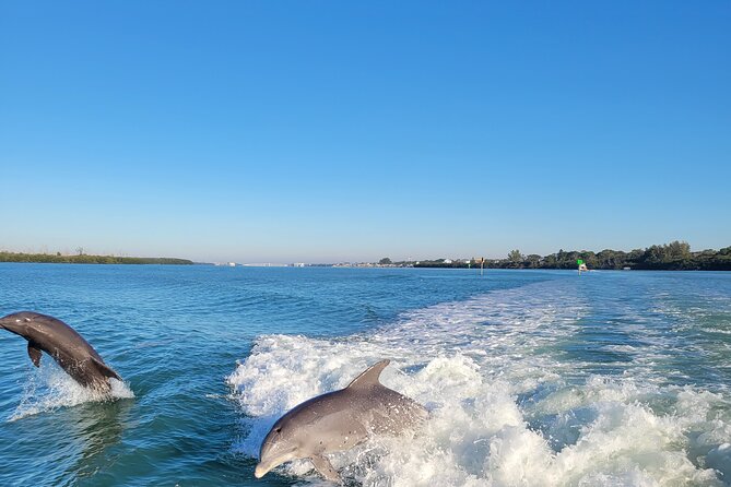 Private Siesta Funship Adventure/Dolphin Cruise Sandbar Stops - Searching for Dolphins and Manatees Around Sarasota
