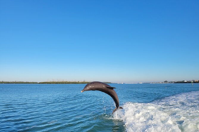Private Siesta Funship Adventure/Dolphin Cruise Sandbar Stops - Captain Joe, Cosmo, and the Feel of a Private Outing