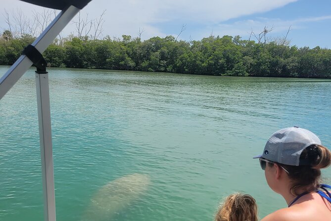 Private Siesta Funship Adventure/Dolphin Cruise Sandbar Stops - Weather, Cancellations, and Booking Checks
