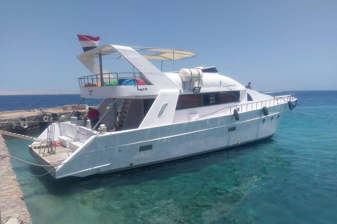 Private Snorkeling Boat Trip To Dolphin House From Hurghada - Key points to know before booking