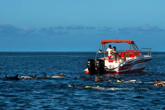 Private Speed Boat Experience To Dolphin House in Hurhgada - Key points at a glance