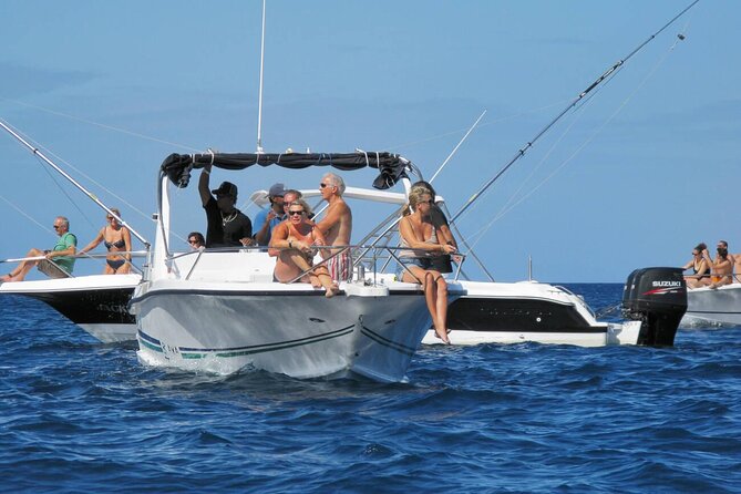 Private Speed Boat Experience To Dolphin House in Hurhgada - Leaving Hurghada by private speed boat