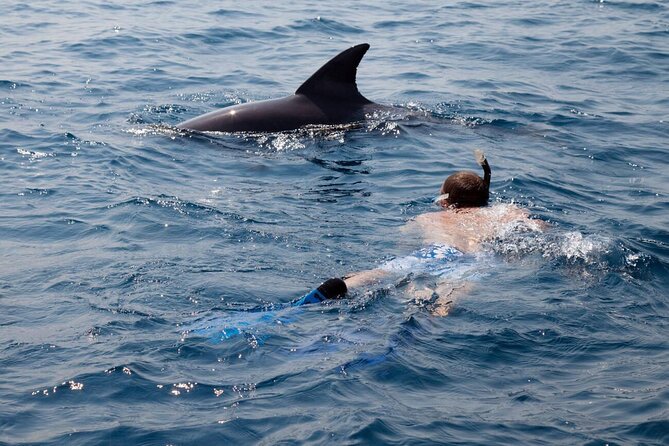 Private Speed Boat Experience To Dolphin House in Hurhgada - How the private format changes the value