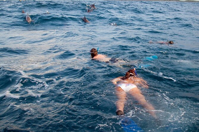 Private Speed Boat Experience To Dolphin House in Hurhgada - Snacks, equipment, and what is not included
