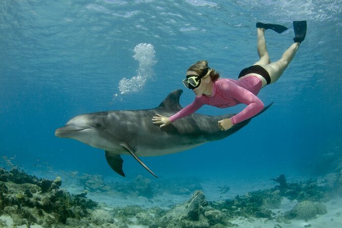 Private Speed Boat Snorkeling with Dolphins Trip - Hurghada - Key details before you book