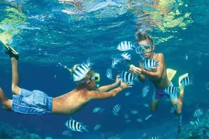 Private Speed Boat Snorkeling with Dolphins Trip - Hurghada - Water activities after snorkeling