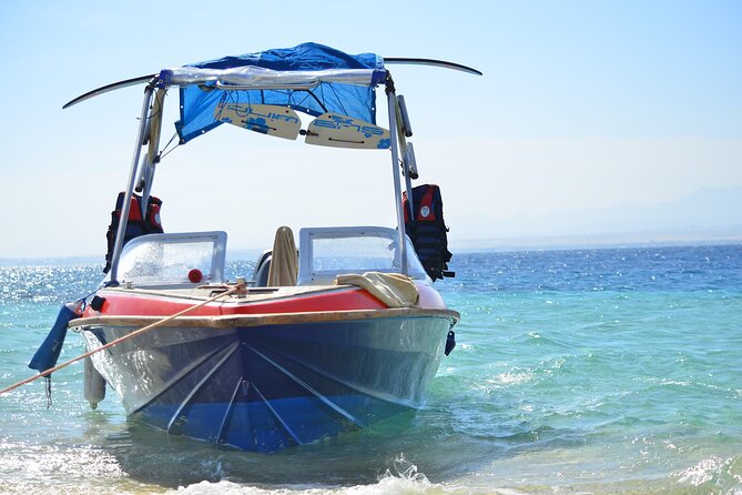 Private Speed Boat & Swim With Dolphins & Water Sports-hurghada - Dolphin House and the search for wild dolphins