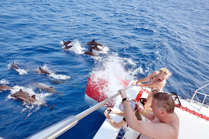 Private Speed Boat to DOLPHINS House & Water activities -HURGHADA - The speedboat ride to Dolphin House