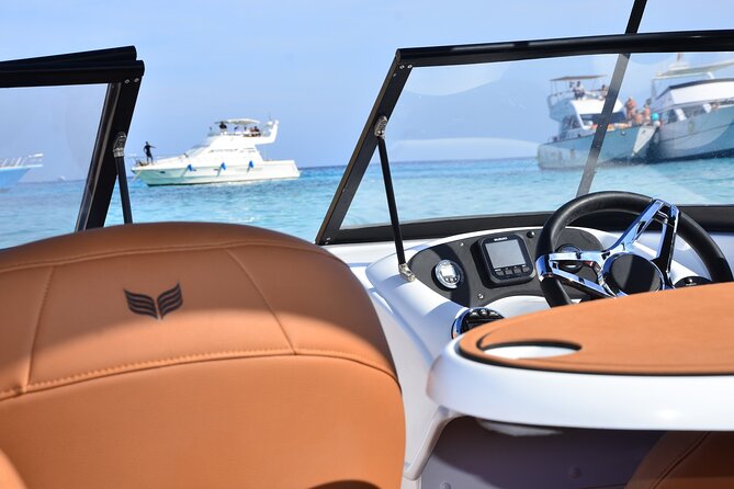 Private Speedboat Dolphins and Snorkelling Cruise in Hurghada - Quick take: what makes this cruise worth considering