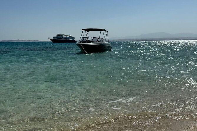 Private Speedboat Dolphins and Snorkelling Cruise in Hurghada - How the private format affects the experience