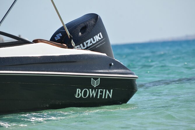 Private Speedboat Dolphins and Snorkelling Cruise in Hurghada - Weather, safety, and what to expect on the water