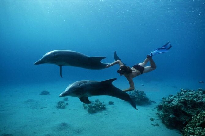 Private Speedboat Excursion Dolphin House Discovery - Hurghada - Snacks, soft drinks, and practical comfort