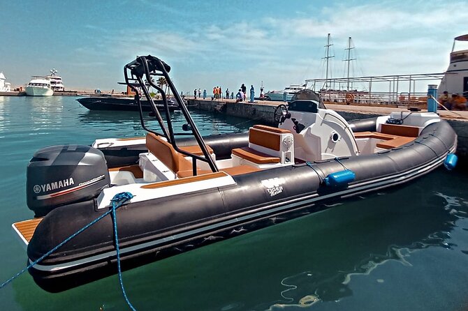 Private Speedboat swimming and Dolphin Watching in Hurghada - Searching for dolphins in their natural setting