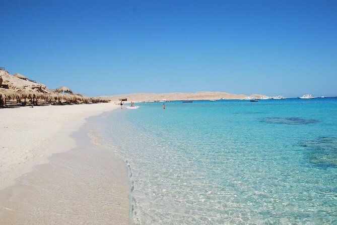 Private Speedboat To Dolphin House & Magawish Island _ Hurghada - Snorkeling among coral gardens