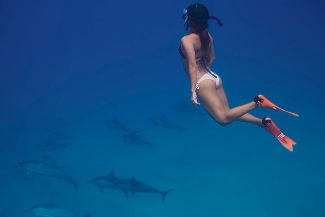 Private Speedboat To Dolphin House With Parasailing - Hurghada - Snacks, Fruit, and Drinks on Board