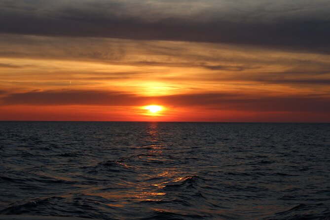 Private Sunset Dolphin Excursion with Dinner and Animation - Leaving Medulin at 5:30 pm
