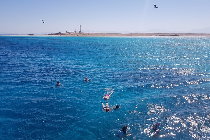 PRIVATE TOUR ! 4-Hours Swiming with dolphins, snorkeling, island by speed boat - The shipwreck and Abu Minquar Island