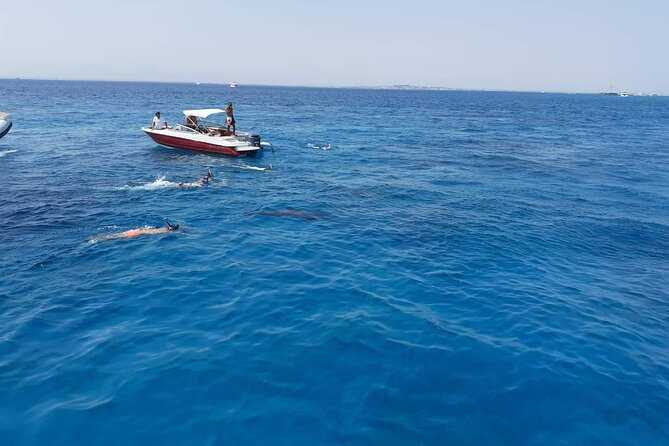 PRIVATE TOUR ! 4-Hours Swiming with dolphins, snorkeling, island by speed boat - What is included on board