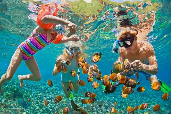 PRIVATE TOUR ! 4-Hours Swiming with dolphins, snorkeling, island by speed boat - Timing, weather, and cancellation rules