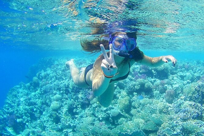 PRIVATE TOUR ! 4-Hours Swiming with dolphins, snorkeling, island by speed boat - Who gets the best value from $160.80?