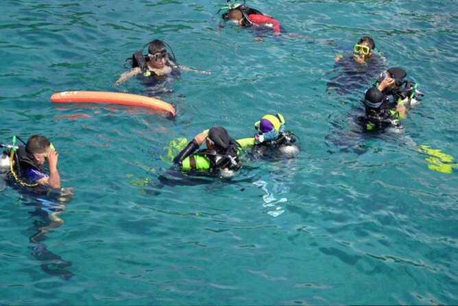 Private Tour to Dolphins house Sea hero of Egypt snorkeling - What the $130.25 price really buys