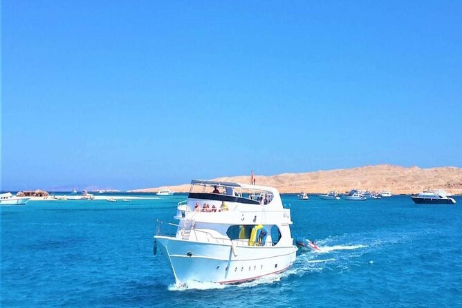 Private Tour to Dolphins house Sea hero of Egypt snorkeling - The speedboat ride to Dolphin House