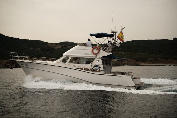 Private Tour with Dolphin Watching in Algeciras Bay - From Cádiz to Algeciras Bay