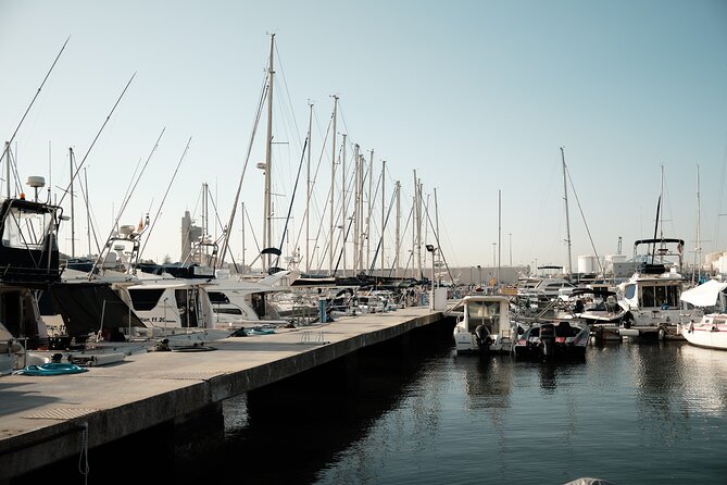 Private Tour with Dolphin Watching in Algeciras Bay - Weather Can Change Your Day