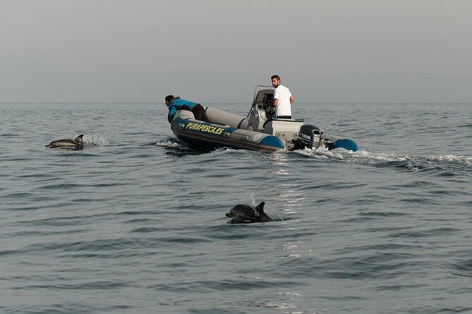 Private Tour with Dolphin Watching in Algeciras Bay - Who Will Enjoy This Most?