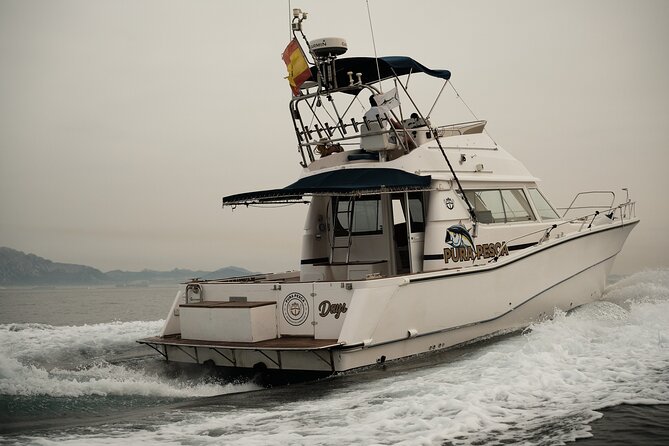 Private Tour with Dolphin Watching in Algeciras Bay - Wildlife Rules That Protect the Experience