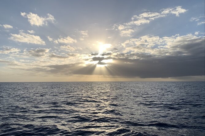 Private Whale Watching and Dolphin Excursion - What this private Oahu boat trip is really like