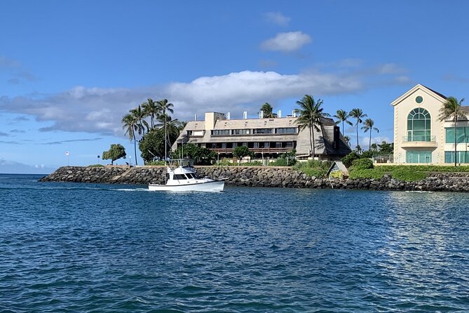 Private Whale Watching and Dolphin Excursion - Boat condition and captain quality deserve attention