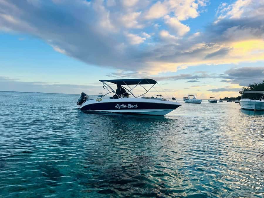 Private :Whales and dolphins watching/Swimming with dolphins - Le Morne from a private boat