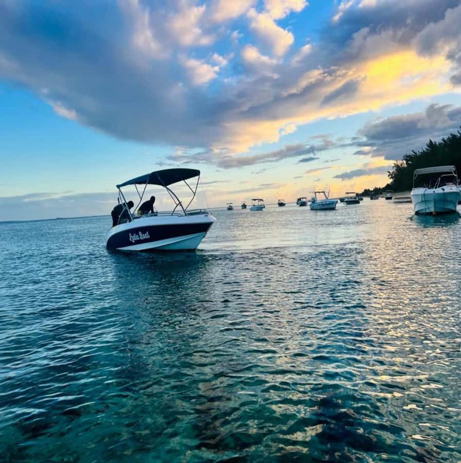 Private :Whales and dolphins watching/Swimming with dolphins - What the $816 private price really buys