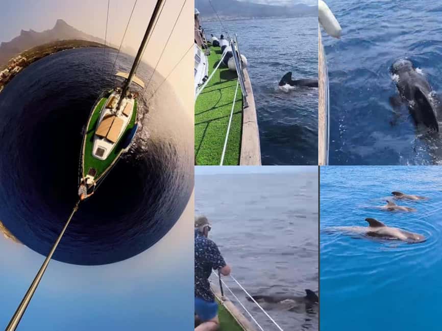 Private Whales & Dolphins Excursion: for you exclusively! - Swimming and snorkeling in clear water