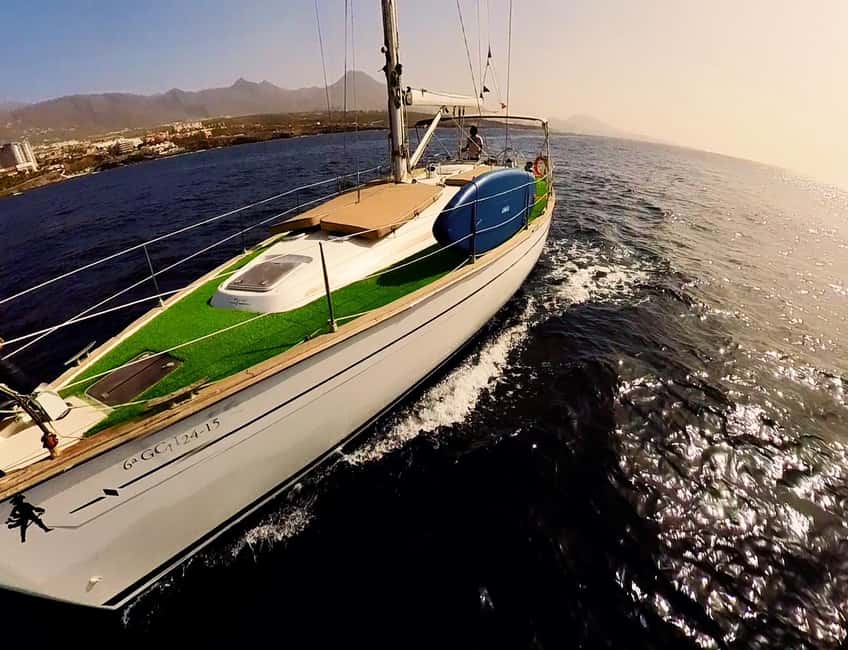 Private Whales & Dolphins Excursion: for you exclusively! - Paddleboarding with room to choose your pace