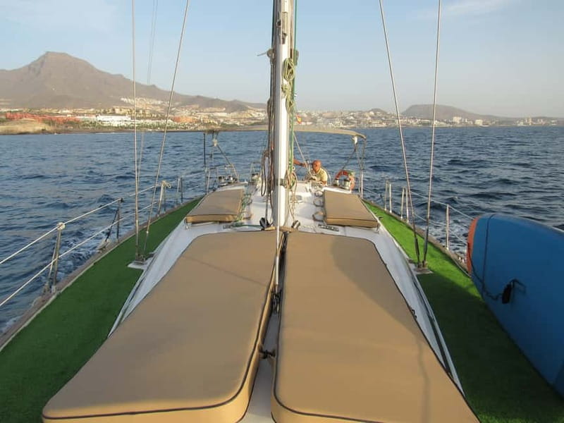 Private Whales & Dolphins Excursion: for you exclusively! - What $530 means for your group