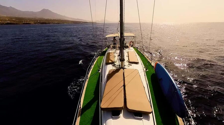 Private Whales & Dolphins Excursion: for you exclusively! - Service from Roberto, Noel, and the crew