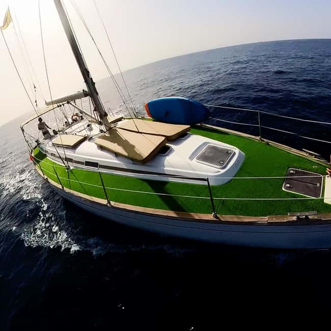 Private Whales & Dolphins Excursion: for you exclusively! - One serious planning concern: late cancellation