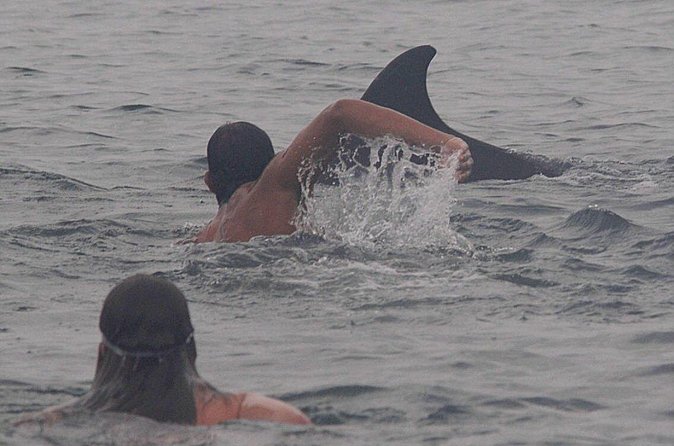 Private Wild Dolphin Encounter in Puerto Vallarta - Who should book this experience?