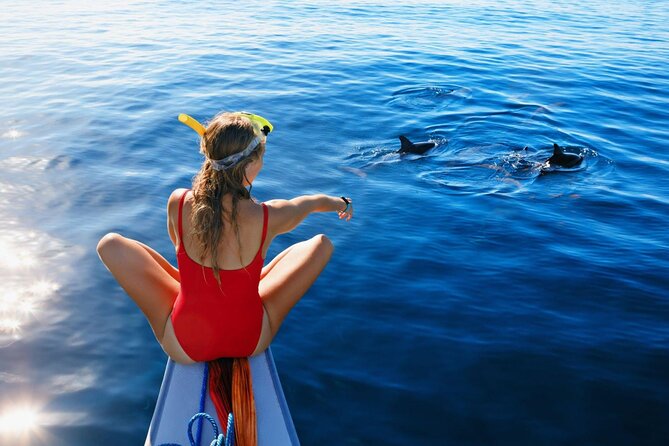 Private Yacht Cruise to Dolphin House with Lunch : Hurghada - Dolphin House and the wildlife question