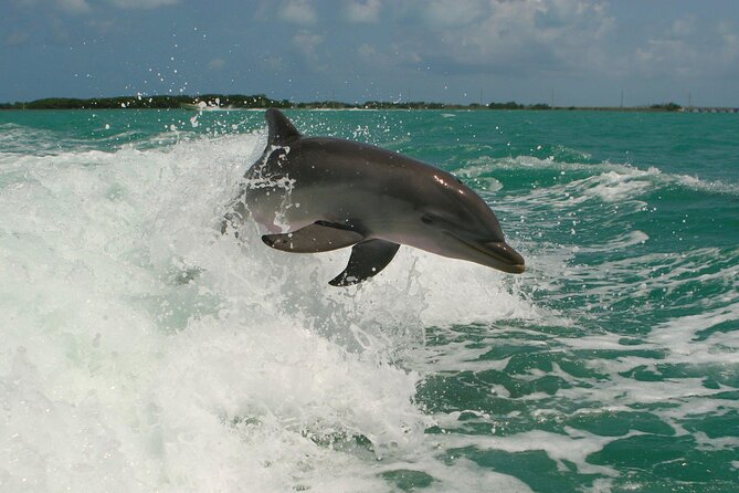 Private Yacht Cruise to Dolphin House with Lunch : Hurghada - How long the trip really takes