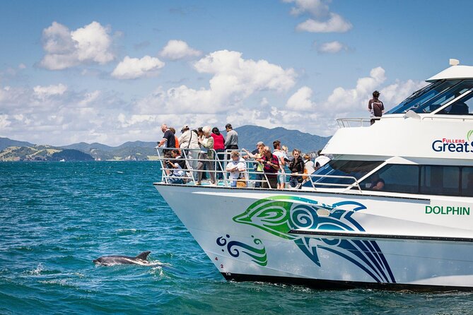 Private Yacht Cruise to Dolphin House with Lunch : Hurghada - What the two reef stops add to the day