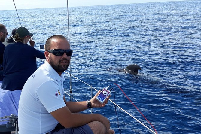 Private Yacht Tour With Whale and Dolphin Watching 33 Foot Boat - Food, drinks, and the pace onboard