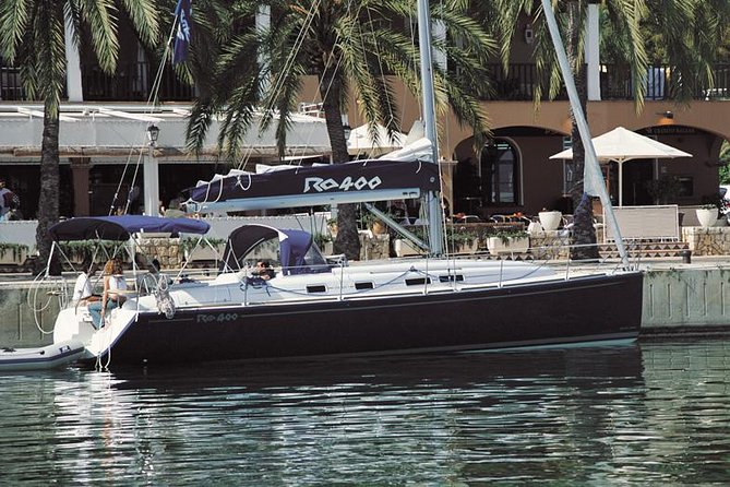 Private Yacht Tour With Whale and Dolphin Watching 42 Foot Boat - Champagne, Open Bar, and Light Food