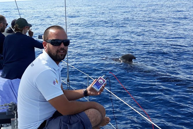 Private Yacht Tour With Whale and Dolphin Watching 42 Foot Boat - Three Hours or Six Hours on the Atlantic